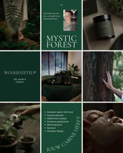 🌲 Mystic Green WOLKJESZETEL®