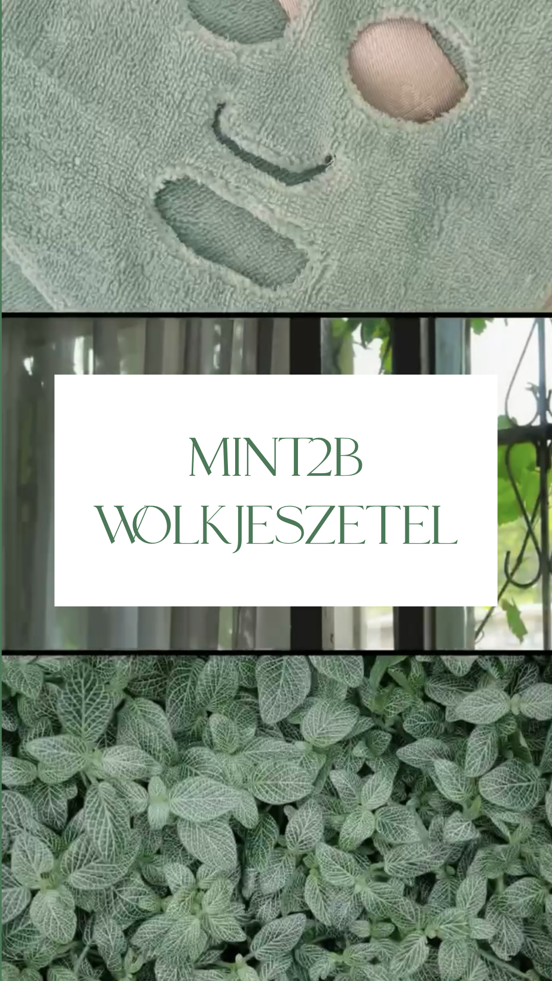 🍃 Mint2B WOLKJESZETEL® - Een frisse wolk van zachtheid