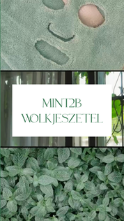 🍃 Mint2B WOLKJESZETEL® - Een frisse wolk van zachtheid