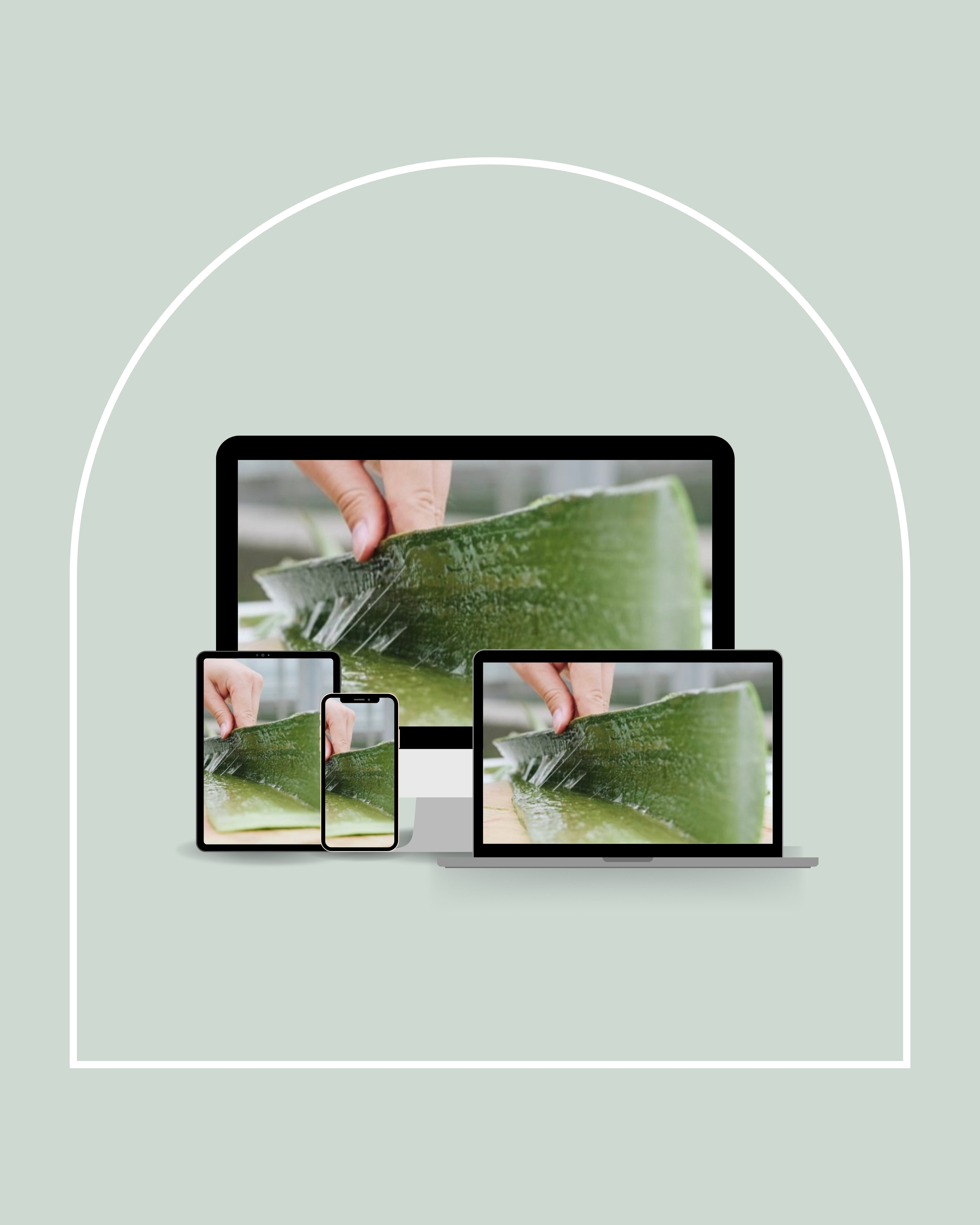 Mock_up_SKOOL_of_SKIN_experience_1080_x_1350_px.jpg